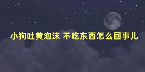 小狗吐黄泡沫 不吃东西怎么回事儿